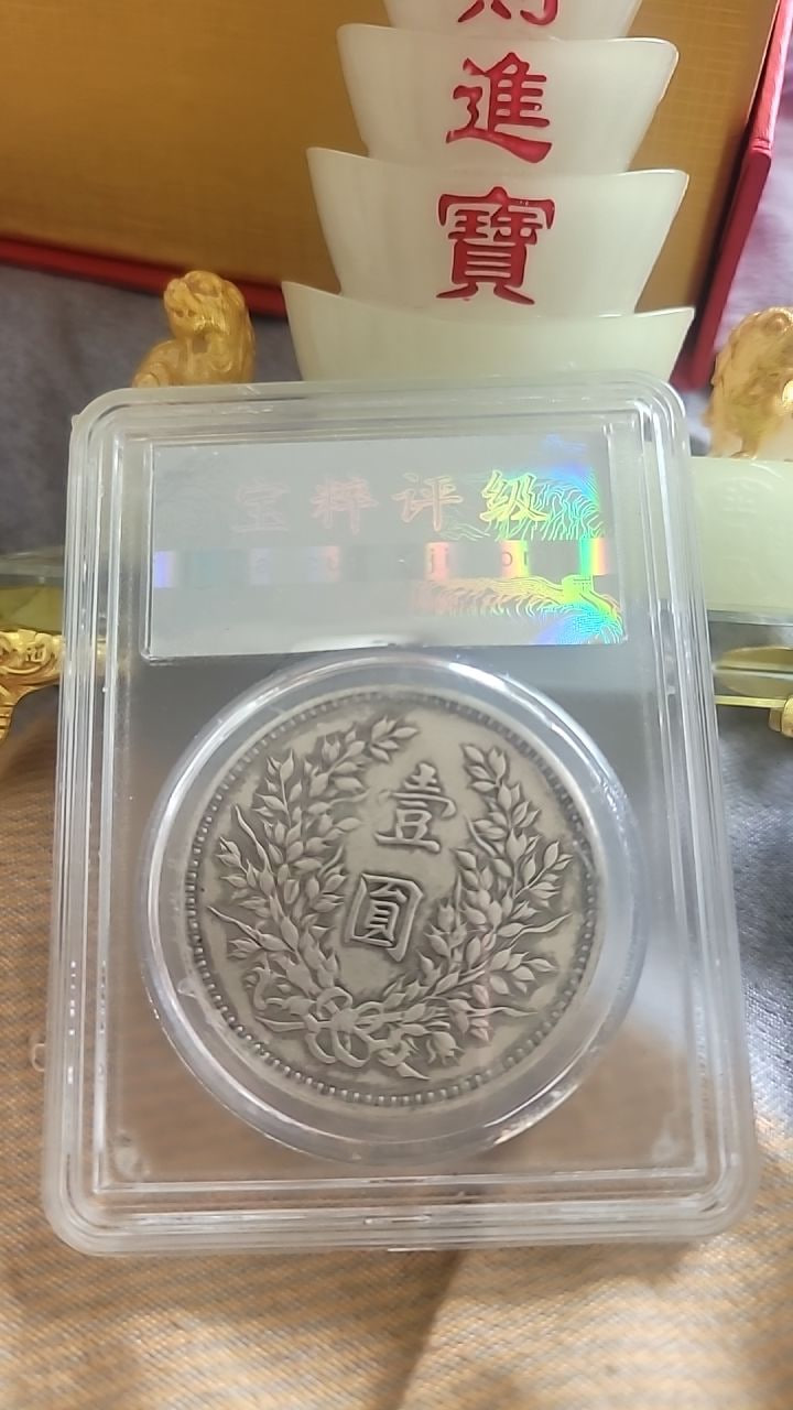 袁大头银币