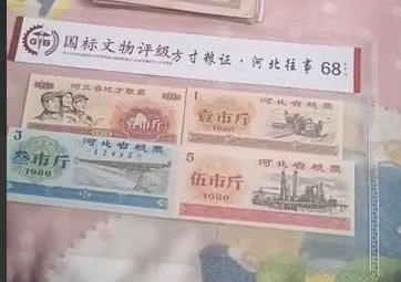 河北省粮票